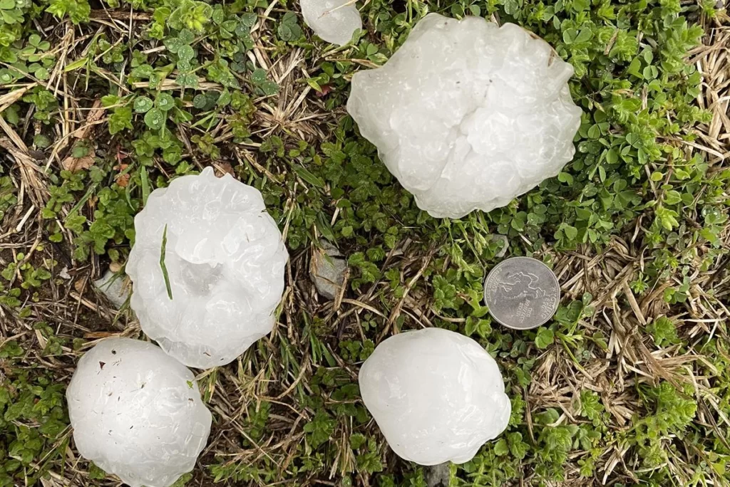 fortheclaim Hail Storm Roofing Damage