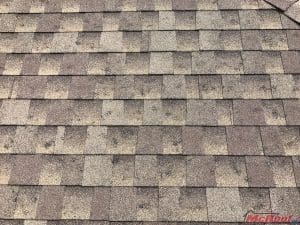 fortheclaim Hail Damage to roof from storm