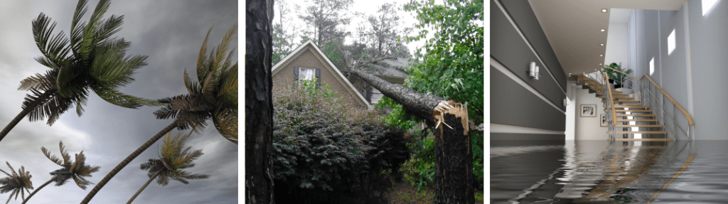 Storm damage restoration encompasses a wide range of services beyond just roof repairs. 