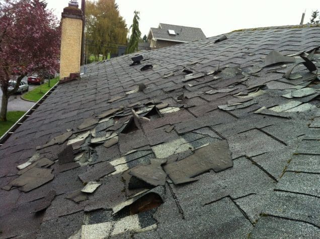 Professional Roof Repair Post-Storm