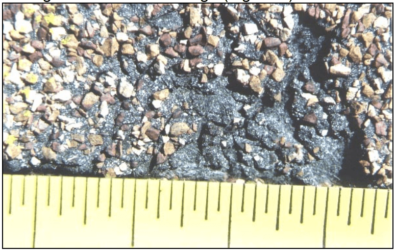 Figure 9. An example of 9-year-old hail damage to a
glass-fiber mat asphalt shingle.