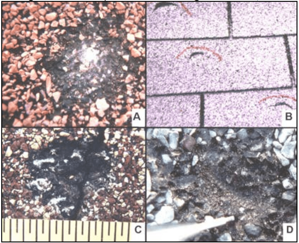 Figure 12. Close-up views of mechanically caused
impacts to shingles using: a) a ball-peen hammer, b)
claw hammer, c) screwdriver, and d) quarter coin.