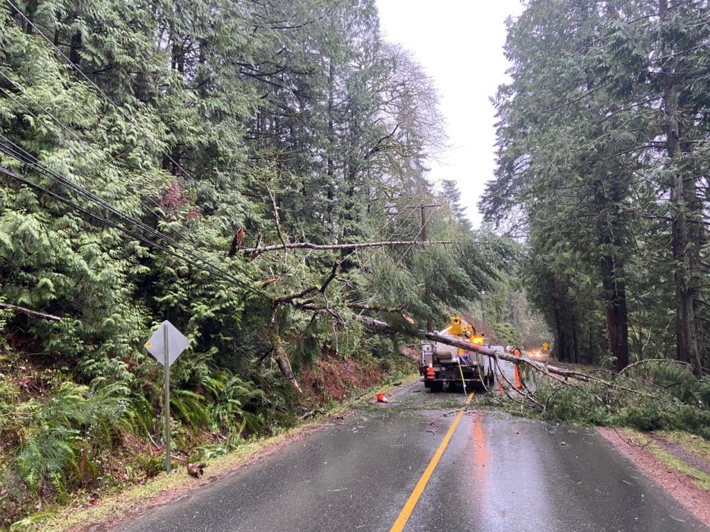 Recovery Efforts Underway as Vancouver Island Grapples with Power Outages After Violent Wind Storm